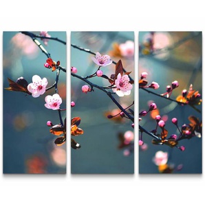 3-tlg. Leinwandbilder-Set Zweig einer japanischen Kirsche
