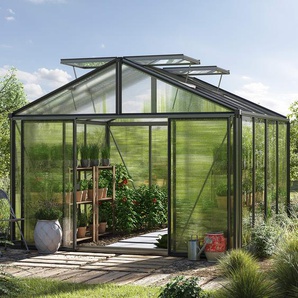 311 x 311 cm Gewächshaus, Pulverbeschichtet Anthrazit, RAL 7016 | Aktionsset - Profi 2 - (GFPV00250)