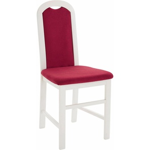 4-Fußstuhl INOSIGN Apollon 1 Stühle Gr. B/H/T: 44 cm x 94 cm x 49 cm, 2 St., Microfaser, Massivholz, rot (piniefarben weiß, bordeau) 4-Fuß-Stühle