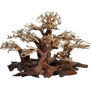4FISH Tree roots Mini forest 50x25x30 cm
