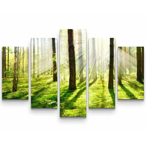 5-tlg. Leinwandbilder-Set Sonnenstrahlen im Wald