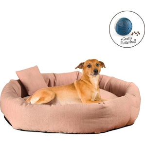 ABUKI Tierbett Blue Tierbetten LxBxH: 68x68x18 cm, inkl. Dekokissen, gratis Futterball Gr. B/H/L: 68 cm x 18 cm x 68 cm, rosa (rose) Katzenkörbe -kissen