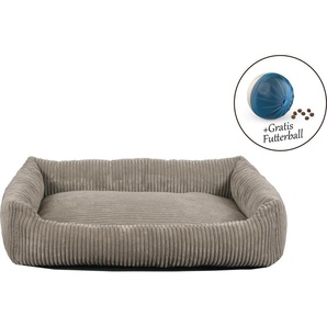 ABUKI Tierbett Coon Tierbetten LxBxH: 49x70x15 cm, gratis Futterball Gr. B/H/L: 70 cm x 15 cm x 49 cm, grau (taupe) Hundebetten -decken