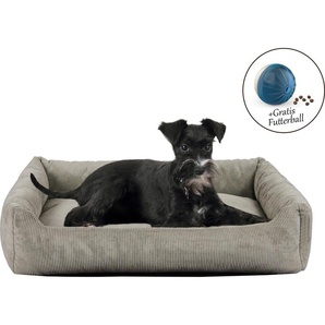 ABUKI Tierbett Corvi Tierbetten LxBxH: 49x70x15 cm, gratis Futterball Gr. B/H/L: 70 cm x 15 cm x 49 cm, grau (taupe) Hundebetten -decken