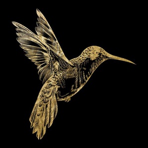 Acrylglasbild LEONIQUE Kolibri - Acrylbilder mit Blattgold veredelt Bilder Gr. B/H: 50 cm x 50 cm, Acrylglasbild mit Blattgold, 1 St., goldfarben (gold) Acrylglasbilder Goldveredelung, Handgearbeitet, Gerahmt, Edel