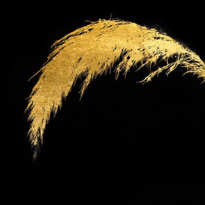 Acrylglasbild LEONIQUE Pampas Gras - Acrylbilder mit Blattgold veredelt Bilder Gr. B/H: 40 cm x 30 cm, Acrylglasbild mit Blattgold, 1 St., goldfarben (gold) Acrylglasbilder Goldveredelung, Handgearbeitet, Gerahmt, Edel