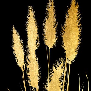 Acrylglasbild LEONIQUE Pampas Gras - Acrylbilder mit Blattgold veredelt Bilder Gr. B/H: 30 cm x 40 cm, Acrylglasbild mit Blattgold Hochformat, 1 St., goldfarben (gold) Acrylglasbilder Goldveredelung, Handgearbeitet, Gerahmt, Edel