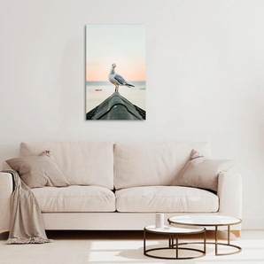 Acrylglasbild QUEENCE Easy Bilder Gr. B/H: 120 cm x 80 cm, Acrylglasbild Strand Hochformat, 1 St., grau Acrylglasbilder