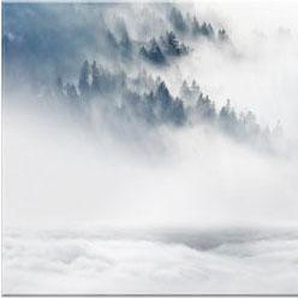 Acrylglasbild WALL-ART Wölfe im Schnee Panorama Bilder Gr. B/H: 80 cm x 30 cm, Panorama, weiß Acrylglasbilder