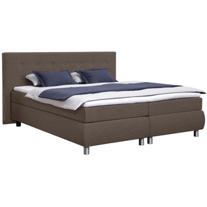 Boxspringbett ADA TRENDLINE Darcy Komplettbetten Gr. Samt ENF, Liegefläche B/L: 160 cm x 200 cm, Gewicht bis: 100 kg H3, 5-Zonen-Tonnentaschen-Federkernmatratze, braun (hellbraun enf 12) Bett Boxspringbett Polsterbetten Boxspringbetten ohne Bettkasten