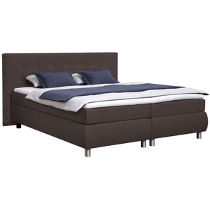 Boxspringbett ADA TRENDLINE Darcy Komplettbetten Gr. Samt ENF, Liegefläche B/L: 200 cm x 200 cm, Gewicht bis: 100 kg H3, 5-Zonen-Tonnentaschen-Federkernmatratze, braun (braun enf 4) Bett Boxspringbett Polsterbetten Boxspringbetten ohne Bettkasten