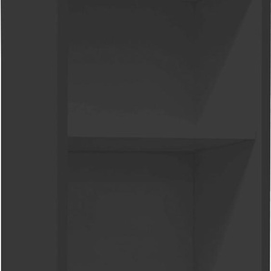 Aktenregal MÄUSBACHER Big System Office Regale Gr. B/H/T: 41 cm x 215 cm x 36 cm, 6 St., schwarz (schwarzstahl) Aktenregale Breite 41 cm