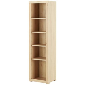 smart Aktenregal  Oslo  ¦ holzfarben ¦ Maße (cm): B: 51 H: 189 T: 42.0
