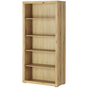 smart Aktenregal  Oslo  ¦ holzfarben ¦ Maße (cm): B: 91 H: 189 T: 42.0