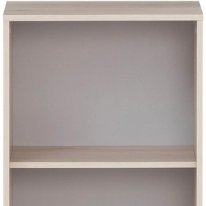Aktenregal SCHILDMEYER Serie 400 Regale Gr. B/H/T: 50,9 cm x 83,6 cm x 41,0 cm, 2 St. offene Fächer, braun (sandeichefarben) Aktenregale Breite 51 cm