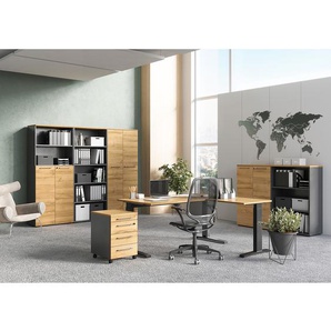 Aktenschrank GW-Agenda I 80 x 120 x 40cm Braun/Eiche Grandson Dekor/Graphit