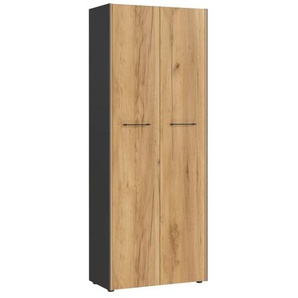 Aktenschrank Podium, Eiche Navarra Nachbildung/graphit matt, 196 cm