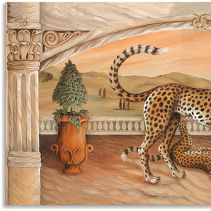 Alu-Dibond-Druck ARTLAND Geparden unterm Bogen Bilder Gr. B/H: 150 cm x 75 cm, Wildtiere, 1 St., beige (naturfarben) Metallbilder für Innen- und Außenbereich geeignet, Outdoorbild