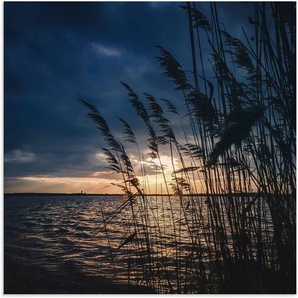 Alu-Dibond-Druck ARTLAND Sonnenuntergang mit Schilf am See Bilder Gr. B/H: 100 cm x 100 cm, Seebilder quadratisch, 1 St., blau Metallbilder