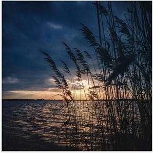 Alu-Dibond-Druck ARTLAND Sonnenuntergang mit Schilf am See Bilder Gr. B/H: 70 cm x 70 cm, Seebilder quadratisch, 1 St., blau Metallbilder