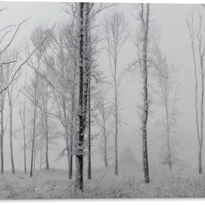 Alu-Dibond-Druck PLATINUM Winter Wald Bilder Gr. B/H/T: 140 cm x 100 cm x 1,8 cm, weiß Metallbilder