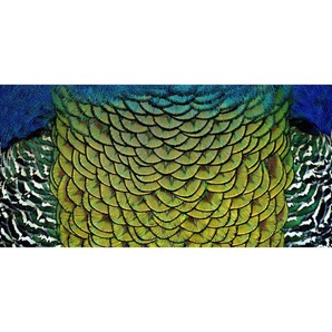Aluminiumbild, Mehrfarbig, Metall, Kunststoff, rechteckig, 98x48 cm, Bilder, Metallbilder