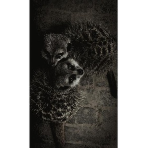 Aluminiumbild, Schwarz, Weiß, Metall, Kunststoff, 74x74 cm, einfache und schnelle Anbringung, Bilder, Metallbilder
