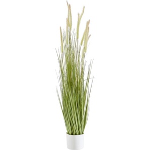 Ambia Home Kunstpflanze, 120 cm, Dekoration, Blumen & Zubehör, Kunstpflanzen