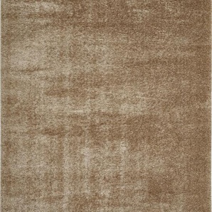 Andiamo LUXOR living Teppich Gela taupe, 80 x 150 cm GLO795801738