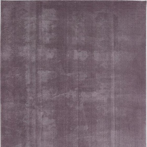 Andiamo Teppich Arezzo, lavendel, 160 x 230 cm GLO795801857