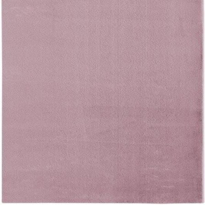 Andiamo Teppich Pello, lavendel, 80 x 150 cm GLO795800216