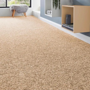 ANDIAMO Teppichboden Schlinge Matz Teppiche Gr. B/L: 500 cm x 300 cm, 6 mm, 1 St., beige (sand) Teppichboden