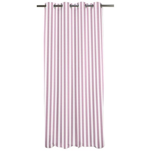APELT Gardine Delfi, Ösen (1 St), blickdicht, HxB: 245x135
