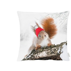 Apelt Kissenhülle - weiß - Materialmix - 46 cm - 0,5 cm | Möbel Kraft