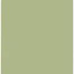 Apothekerschrank WIHO KÜCHEN Husum Schränke Gr. B/H/T: 30 cm x 200 cm x 57 cm, 1 St., grün (front: avocado, grün, korpus: weiß) Apothekerschränke Auszug mit 4 Ablagefächern