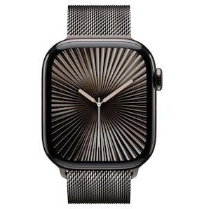 Apple Watch Series 10 LTE 42mm Slate Titangehäuse mit Slate Milanese Loop MX053QF/A