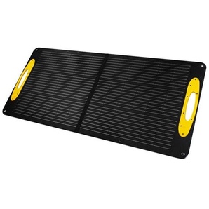 Aqiila Sunbird P100 100W