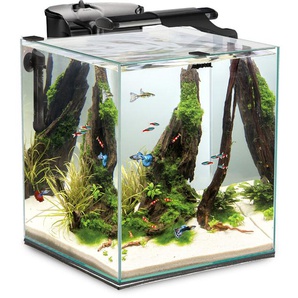 Aquael Fish & Shrimp Set DUO 49L schwarz