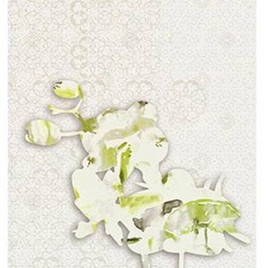 Architects Paper Fototapete Absence Of Time, (1 St), Floral Tapete Natur Grau Weiß Grün Panel 1,00 m x 2,80 m
