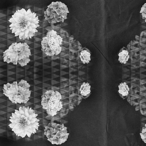Architects Paper Fototapete Artwork Flowers, (Set, 4 St), Vlies, Wand, Schräge