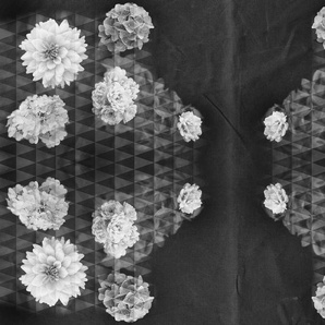 ARCHITECTS PAPER Fototapete Artwork Flowers Tapeten Vlies, Wand, Schräge Gr. B/L: 4 m x 2,7 m, bunt (grau, schwarz, silber) Fototapeten Blumen