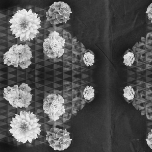 ARCHITECTS PAPER Fototapete Artwork Flowers Tapeten Vlies, Wand, Schräge Gr. B/L: 4 m x 2,7 m, bunt (grau, schwarz, silber) Fototapeten Blumen Tapeten