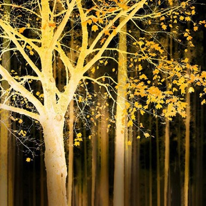 ARCHITECTS PAPER Fototapete Artwork Tree Tapeten Gr. B/L: 4 m x 2,7 m, gelb (beige, braun, gelb) Fototapeten Natur