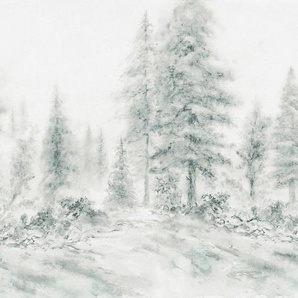 ARCHITECTS PAPER Fototapete Atelier 47 Aquarel Forest 2 Tapeten Vlies, Wand, Schräge, Decke Gr. B/L: 4 m x 2,7 m, grau (hellgrau, dunkelgrau, weiß) Fototapeten Tapeten