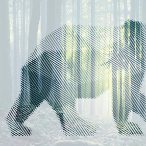 ARCHITECTS PAPER Fototapete Atelier 47 Bear Forest 1 Tapeten Gr. B/L: 4 m x 2,7 m, grün (hellgrün, dunkelgrün, weiß) Fototapeten