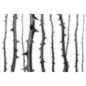 ARCHITECTS PAPER Fototapete Atelier 47 Blurred Thorns 2 Tapeten Vlies, Wand, Schräge, Decke Gr. B/L: 4 m x 2,7 m, grau (dunkelgrau, weiß, hellgrau) Fototapeten Natur Tapeten
