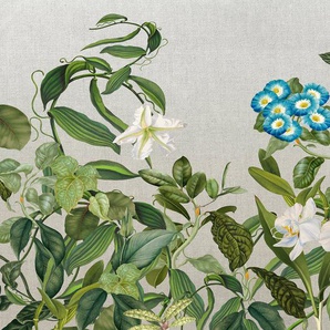 ARCHITECTS PAPER Fototapete Atelier 47 Botanic Sketch 1 Tapeten Vlies, Wand, Schräge, Decke Gr. B/L: 4 m x 2,7 m, bunt (grün, blau, weiß) Fototapeten Blumen