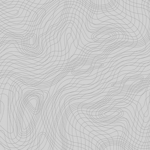 ARCHITECTS PAPER Fototapete Atelier 47 Chaotic Lines 2 Tapeten Vlies, Wand, Schräge, Decke Gr. B/L: 4 m x 2,7 m, grau (hellgrau, dunkelgrau) Fototapeten Kunst Tapeten