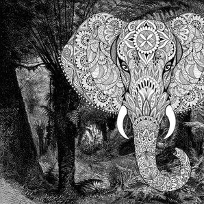 ARCHITECTS PAPER Fototapete Atelier 47 Elephant Head 1 Tapeten Vlies, Wand, Schräge, Decke Gr. B/L: 4 m x 2,7 m, grau (hellgrau, dunkelgrau, schwarz) Fototapeten Tapeten