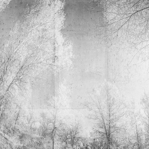 ARCHITECTS PAPER Fototapete Atelier 47 Forest Glade 1 Tapeten Vlies, Wand, Schräge, Decke Gr. B/L: 4 m x 2,7 m, grau (hellgrau, weiß, dunkelgrau) Fototapeten Tapeten